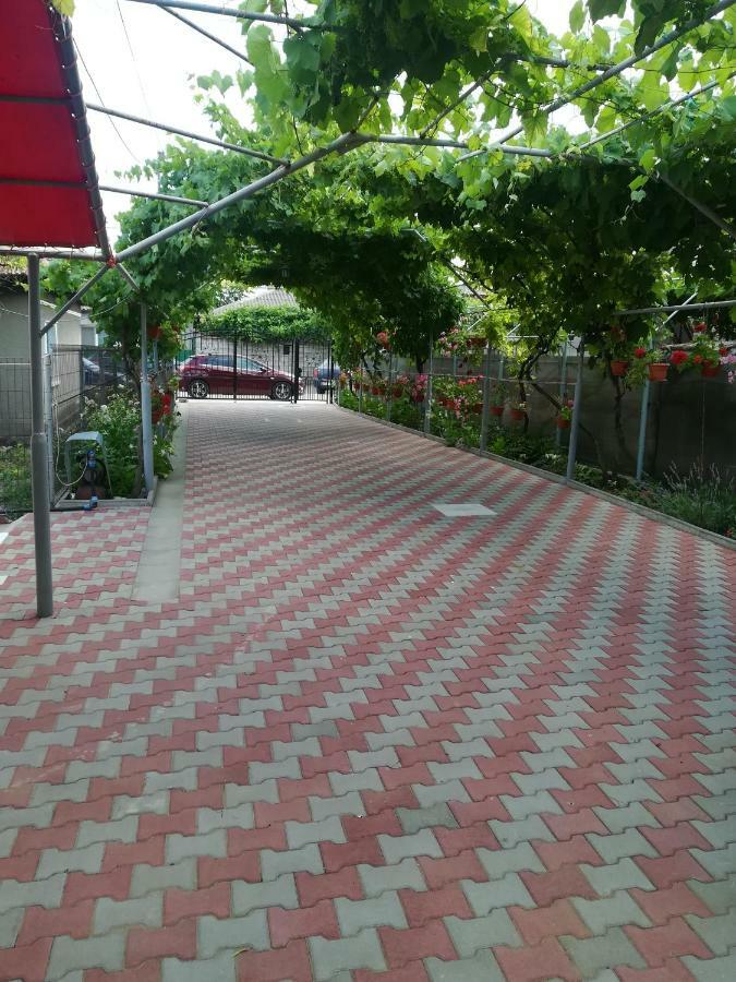 Vila Andre Două Mai Εξωτερικό φωτογραφία